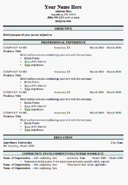 example of resume format. functional resume template.